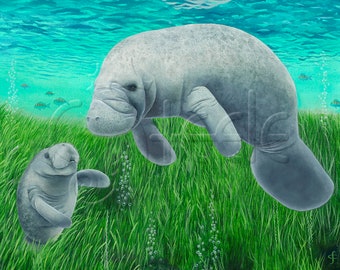 Florida manatee mother with calf: "Manatee Mama"