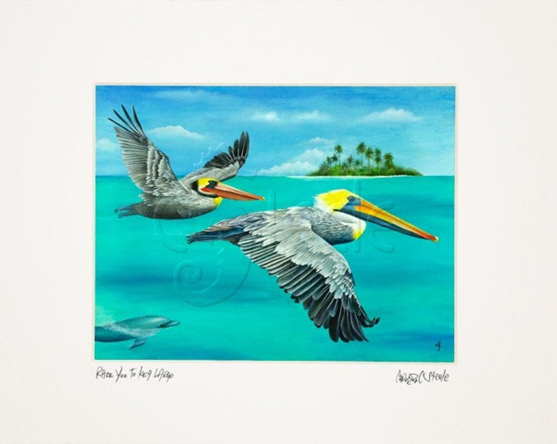 8x10 matted print, pelicans, tropical, Race You To Key Largo image 2