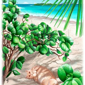 Kunstkarten, Notizkarten, 5er Pack, innen blanko, tropische, süße Katze am tropischen Strand: Jumby es Beach