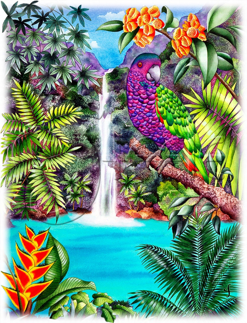 Art cards notecards pack of 5 blank inside tropical | Etsy