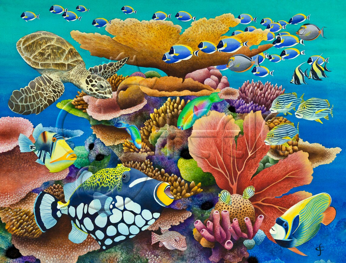 Coral Reef Tropical Fish Sea Turtle Indian Ocean: - Etsy