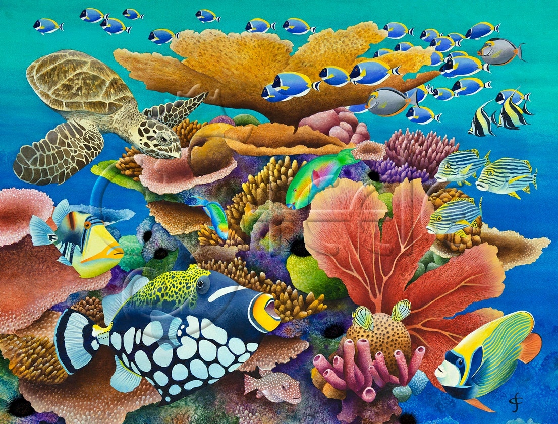 Tropical fish coral reef discount