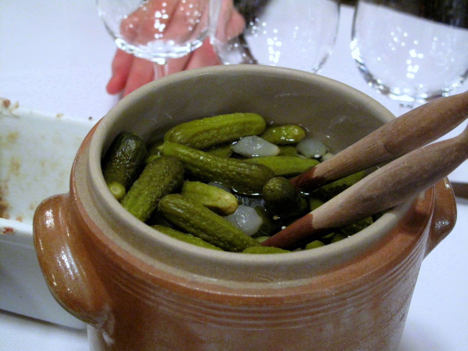 graines de cornichon 1g environ 40 ALADYN H Etsy