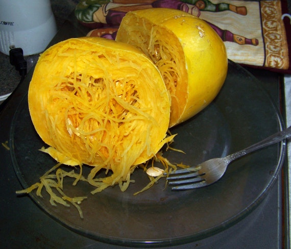 2g Approx 16 Spaghetti Squash Seeds Excellent Dietary Etsy