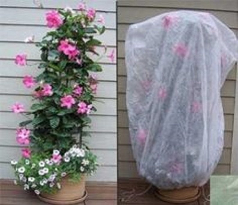 10M x 1.6M Frost &amp; Insect Protection Sheet Roll Garden