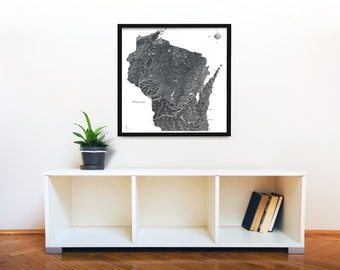 Puede incluir: Una impresión enmarcada en blanco y negro de un mapa topográfico de Wisconsin. El mapa está en escala de grises y muestra los ríos y lagos del estado. La impresión está colgada en una pared blanca sobre un estante blanco con una planta en maceta y libros.