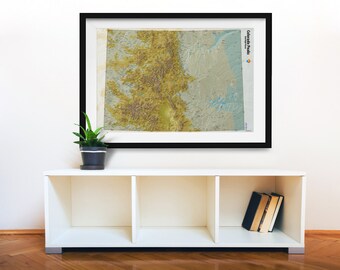 May include: A framed map of Colorado's Peaks, with a detailed topographic relief, is displayed on a white shelf with a potted plant and books.