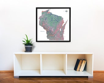 Puede incluir: Un mapa enmarcado de Wisconsin con un diseño topográfico detallado. El mapa está en tonos de verde, rosa y marrón, y se muestra en una pared blanca sobre un estante blanco con una planta en maceta y libros.