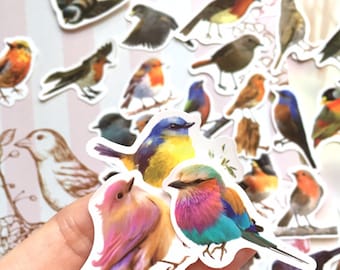 40 cute bird stickers wild bird rare bird pretty pet bird national bird colorful bird decor craft project bird collection bird lover gift