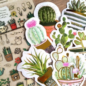 Vignette végétale verte plante grasse Carte de cactus Botanique scientifique Étiquette d’art Plantes Nature Cactus Plantes succulentes clipart végétale Illustration