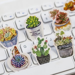 50 ミニ鉢植え植物ステッカー 太った植物 サボテン チャート 植物学 アート プリント ラベル 植物 自然 サボテン 多肉植物 植物 クリップアート イラスト アイコン