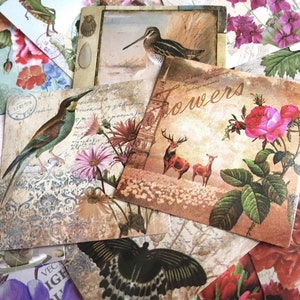 retro labelsticker 45 vellen ouderwetse vogels antiek vintage dagboek sticker bos dier bloem kunst vlinder Europa patroon label cadeau