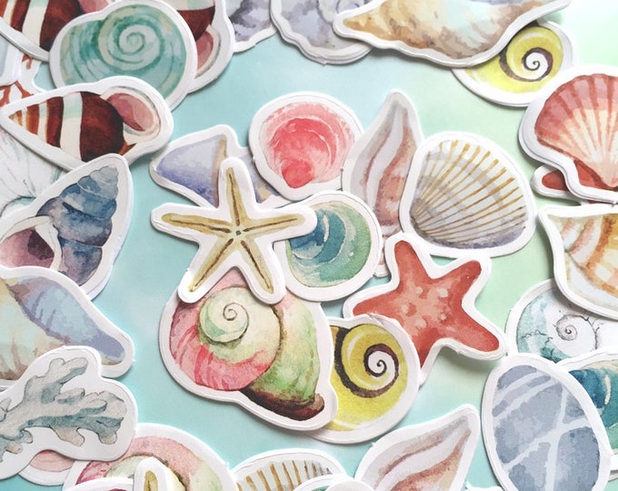 38 Sea Shell Sticker Big Seashells Colorful Seashell Ocean Sea Etsy