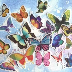 28 butterfly sticker butterfly theme Dancing butterfly colorful butterfly rare butterfly insect decor butterfly collection flake sticker