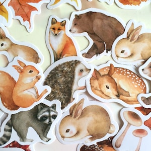 46 pegatinas de animales del bosque otoñal, conejo, mapache, erizo, ardilla, zorro, oso pardo, arce, seta, temporada de otoño, mini icono de planta de naturaleza