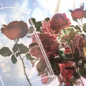 Adesivo de coleção de rosas grande rosa rosa vermelha rosa branca cúpula de vidro rosa flor 2D rosa floral jardim etiqueta rosa ilustração ícone decoração