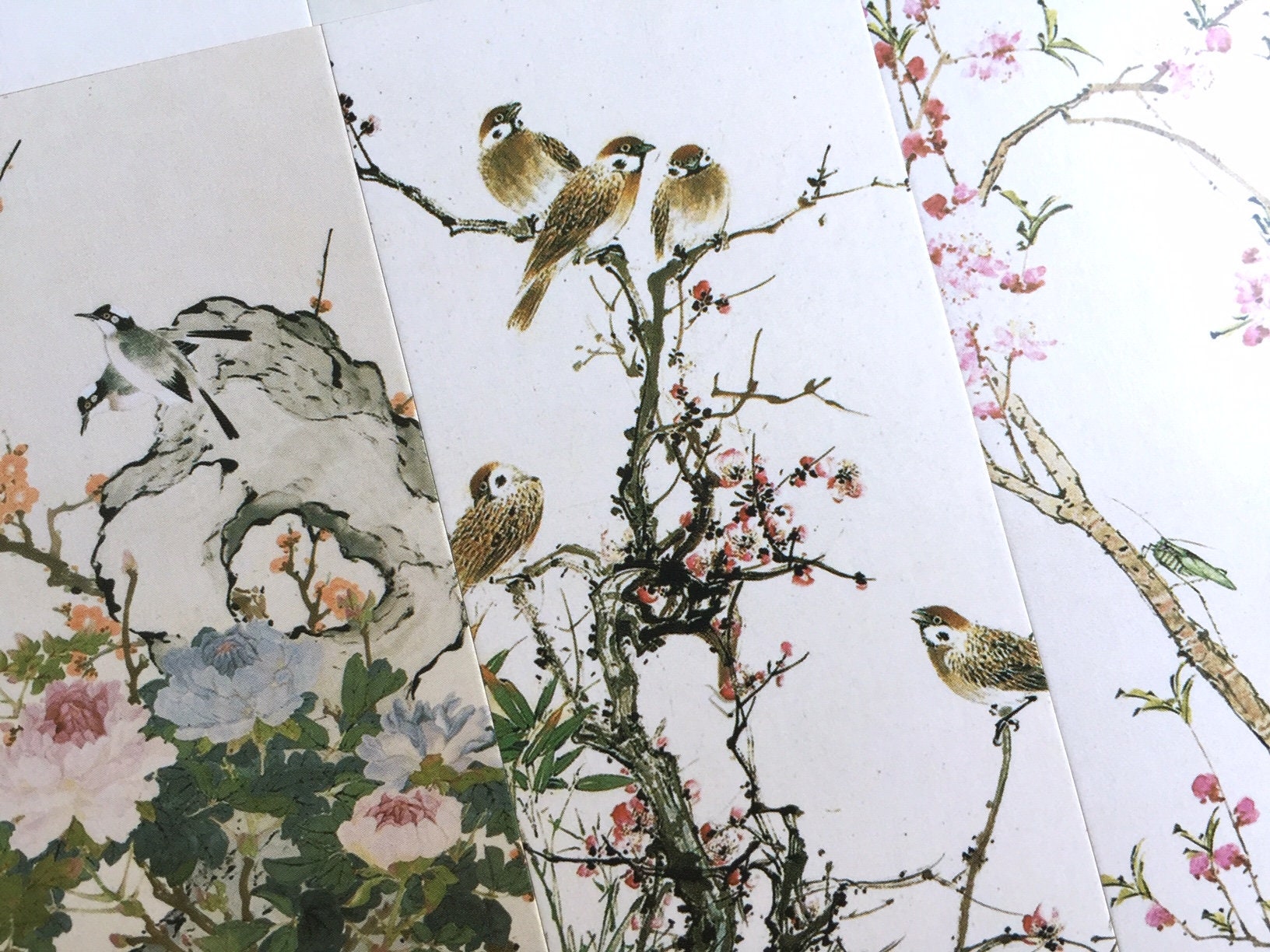 30 orientalische Vogel zeichnung papier Karte Chinesische Vögel Zeichnung  Pinselmalerei Lesezeichen Postkarte Blumen Pflanzen Tuschemalerei Kunst  Dekor Papier Geschenk - Etsy Schweiz, image size:1632x1224