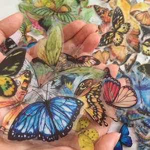 40 butterfly stickers butterfly theme Dancing butterfly rare colorful butterfly insect decor clear sticker DIY butterfly collection gift