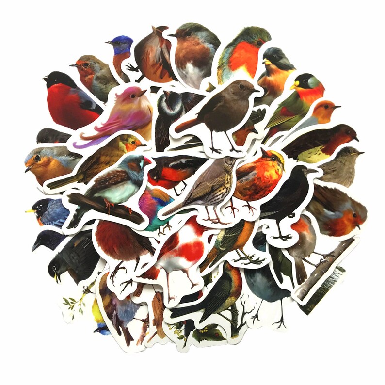 May include: A collection of colorful bird stickers featuring a variety of species, including robins, cardinals, bluebirds, and sparrows. The stickers are perfect for adding a touch of nature to journals, planners, laptops, and more.