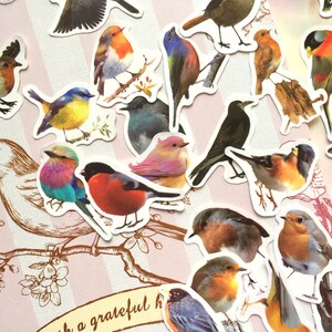 May include: A collection of colorful bird stickers with various species and poses. The stickers are on a pink and white striped background with a brown branch and flowers.