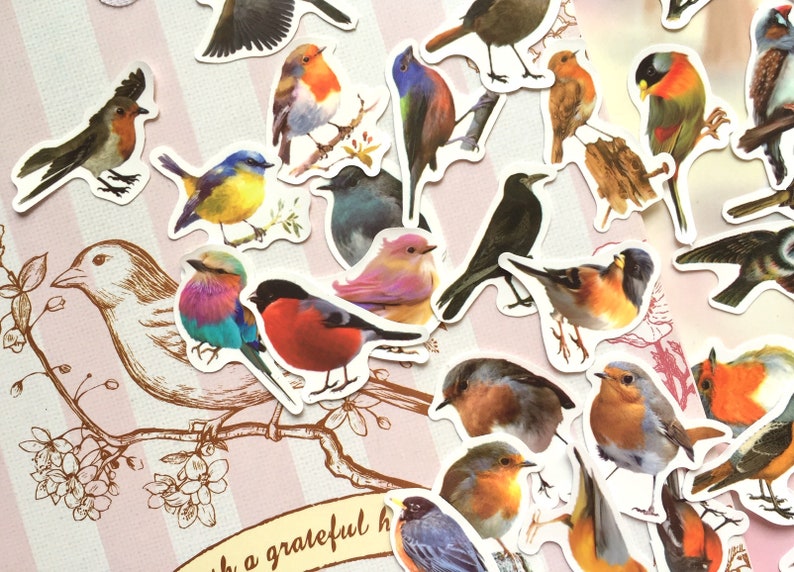 May include: A collection of colorful bird stickers with various species and poses. The stickers are on a pink and white striped background with a brown branch and flowers.