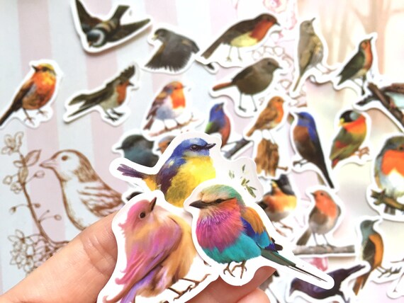 40 cute bird stickers wild bird rare bird pretty pet bird national bird colorful bird decor craft project bird collection bird lover gift