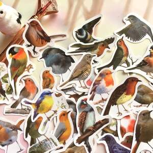 May include: A collection of colorful bird stickers featuring various species, including robins, sparrows, and bluebirds. The stickers are printed on white paper and have a glossy finish.