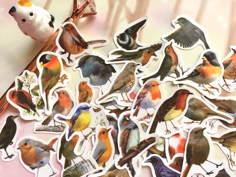 May include: A collection of colorful bird stickers featuring various species, including robins, sparrows, and bluebirds. The stickers are printed on white paper and have a glossy finish.
