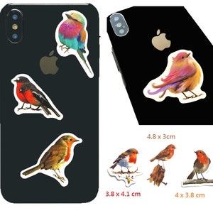 May include: Five colorful bird stickers for a phone case. The stickers are of different sizes and feature a variety of birds, including a blue and pink bird, a red and black bird, and a brown and yellow bird. The stickers are perfect for adding a touch of personality to your phone case.