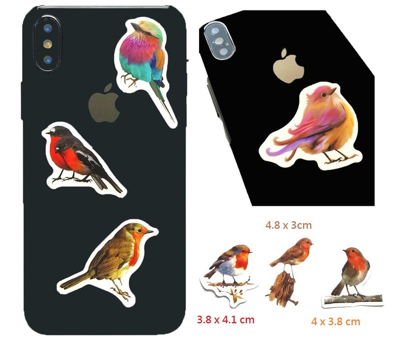 May include: Five colorful bird stickers for a phone case. The stickers are of different sizes and feature a variety of birds, including a blue and pink bird, a red and black bird, and a brown and yellow bird. The stickers are perfect for adding a touch of personality to your phone case.