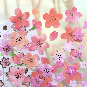 Sakura, etiqueta flor japonesa, asiática rosa extravagante branco etiqueta flor adesivo