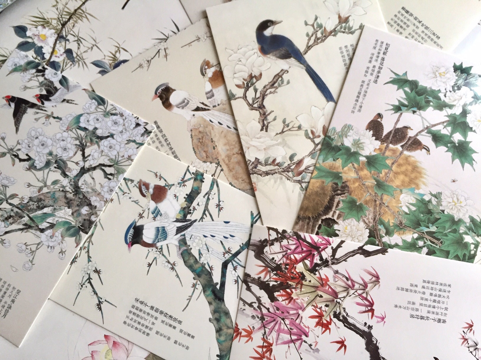 30 chinesische Vögel Zeichnung mit klassischem Gedicht Postkarte  orientalischer Vogel Zeichnung Blume Pflanzen Tuschemalerei Kunst Dekor  Papier Geschenk - Etsy Österreich, image size:1632x1224