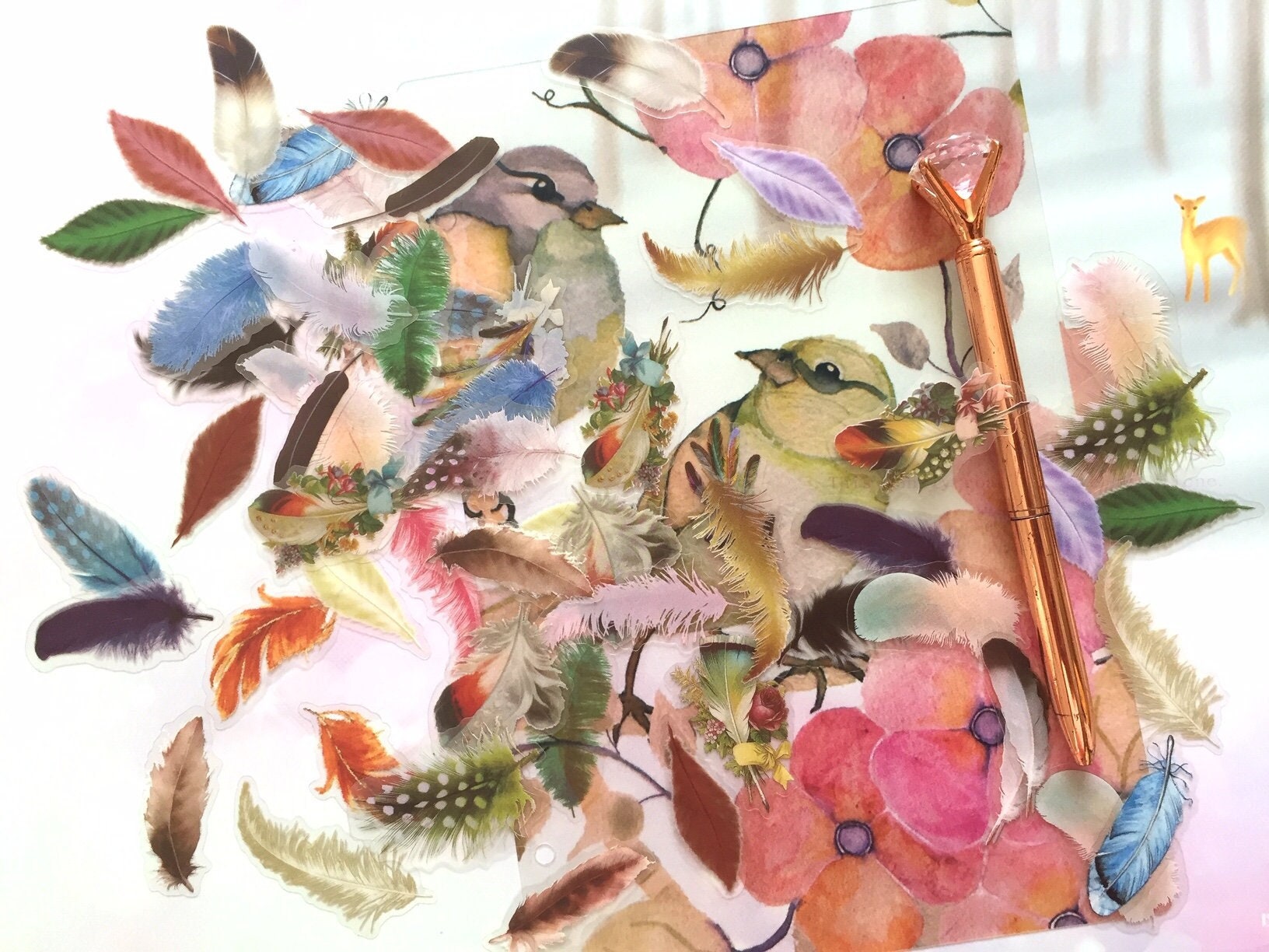 58 Bird Feather Stickers Cute Feather 2D Indian Feather Colorful Rare ...