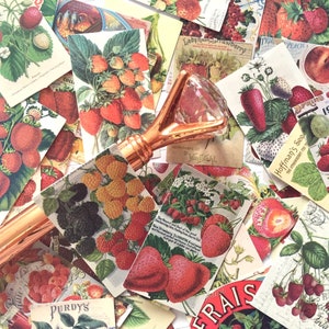 50 autocollants sur le thème des fraises, vintage, fruits rouges, fruits colorés, fruits rétro, dessin, amateur de fraises, reçu, étiquette, planificateur, autocollant, cadeau