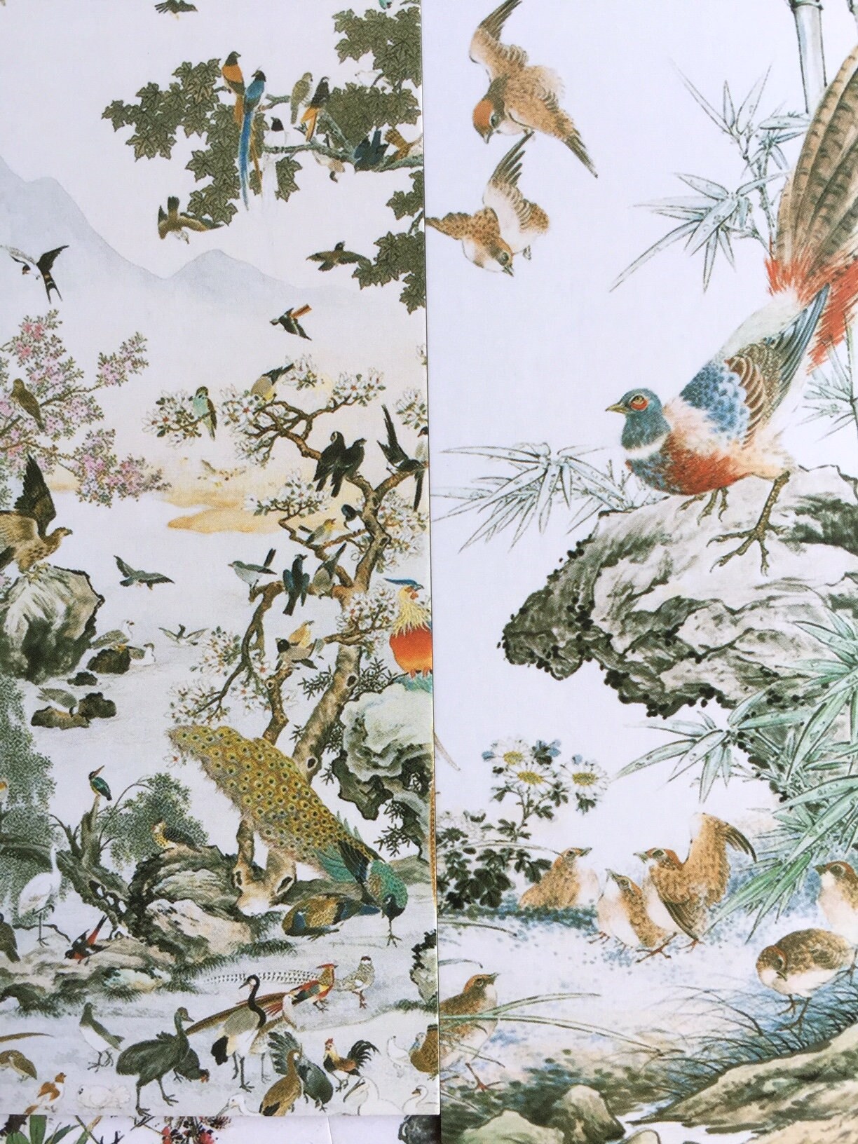 30 orientalische Vogel zeichnung papier Karte Chinesische Vögel Zeichnung  Pinselmalerei Lesezeichen Postkarte Blumen Pflanzen Tuschemalerei Kunst  Dekor Papier Geschenk - Etsy Schweiz, image size:1224x1632