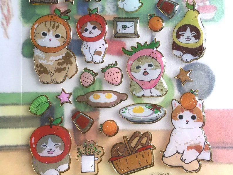 Fruit hat cat  sticker cute cat  foodie  chef cat  fruit 