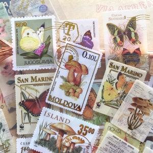 48 pegatinas vintage con estampado dorado de mariposas y flores, etiquetas adhesivas con sellos postales retro de aves y plantas silvestres, dibujo de escena de bosque clásico, regalo decorativo