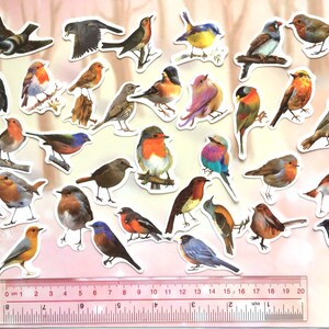 May include: A sheet of colorful bird stickers with a variety of species, including robins, bluebirds, and sparrows. The stickers are on a white background and are approximately 1 inch in size.