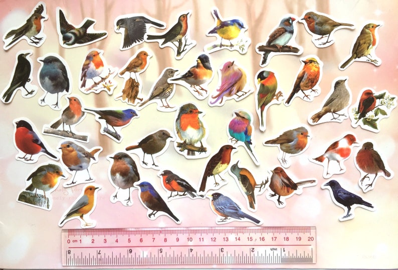 May include: A sheet of colorful bird stickers with a variety of species, including robins, bluebirds, and sparrows. The stickers are on a white background and are approximately 1 inch in size.