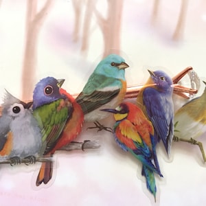 20 adesivos de pássaros coloridos raros 2D lindo pássaro selvagem pássaro da floresta super fofo decoração nacional coleção de beija-flores diário faça você mesmo arte presente