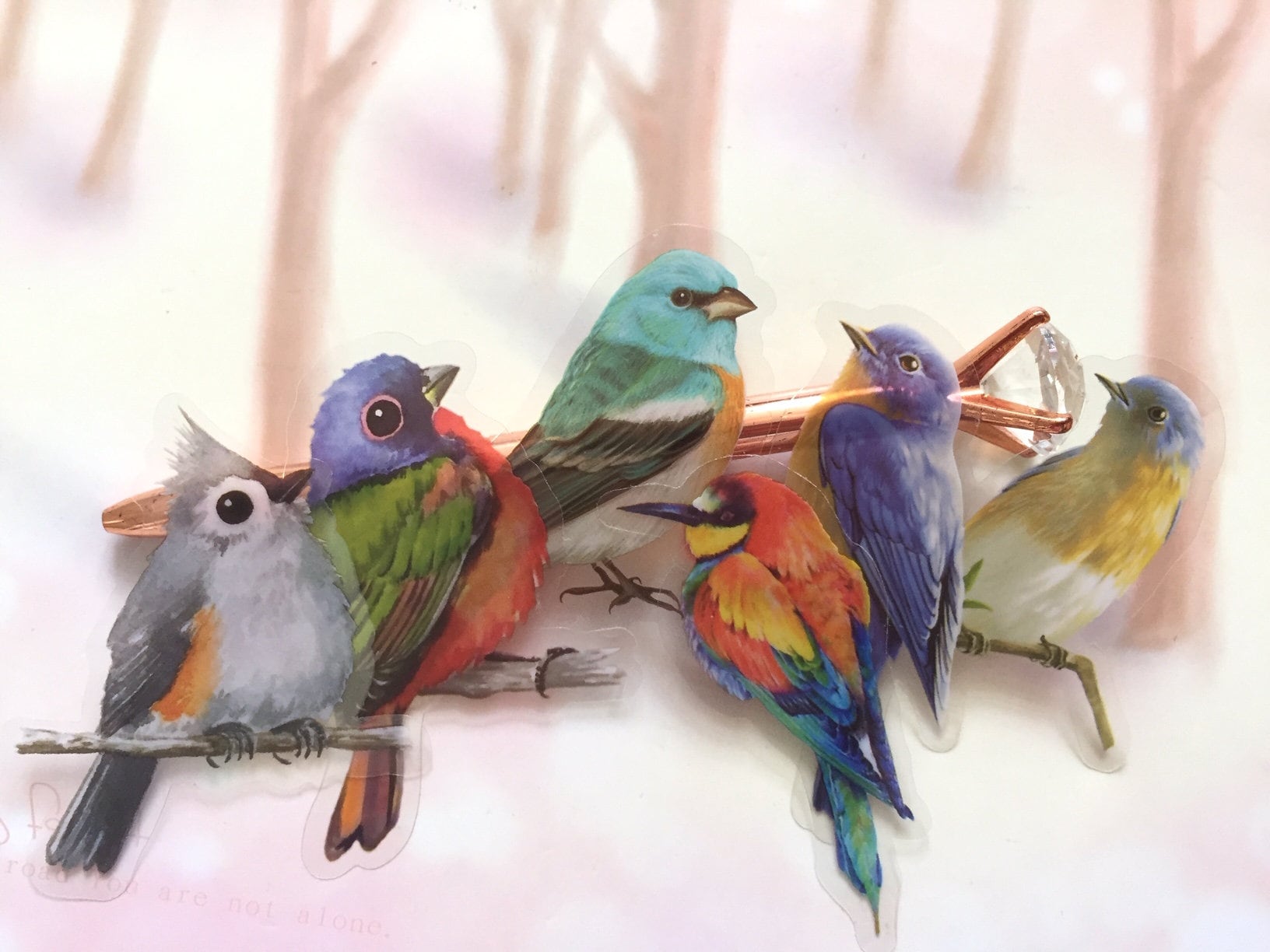 20枚の珍しいカラフルな鳥のステッカー 2D かわいい野鳥 森の鳥 超