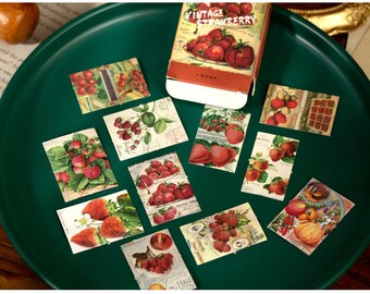 Autocollants Muraux Vintage En Forme De Fruits Raisins Pêches Stickers