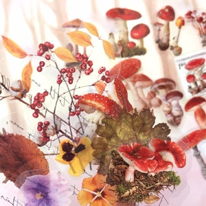 20 herfst planten stickers paddenstoel kever bugs herfst seizoen natuur plant illustratie schimmel herfst thema bloem label sticker pictogram cadeau