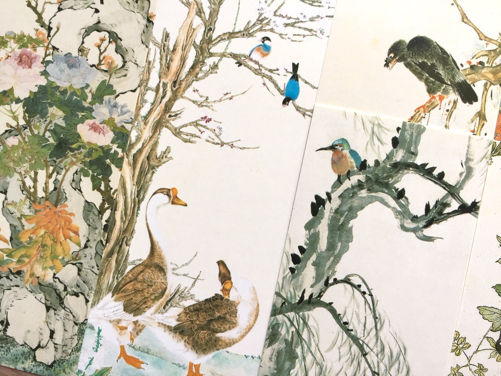 30 orientalische Vogel zeichnung papier Karte Chinesische Vögel Zeichnung  Pinselmalerei Lesezeichen Postkarte Blumen Pflanzen Tuschemalerei Kunst  Dekor Papier Geschenk - Etsy Schweiz, image size:1632x1224