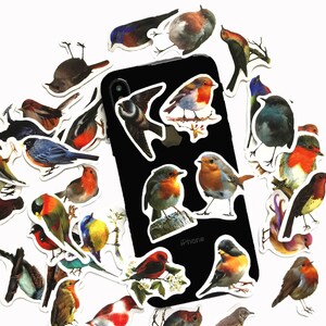May include: A collection of colorful bird stickers featuring various species, including robins, bluebirds, and sparrows. The stickers are arranged around a black iPhone with the word "iPhone" printed on the back.