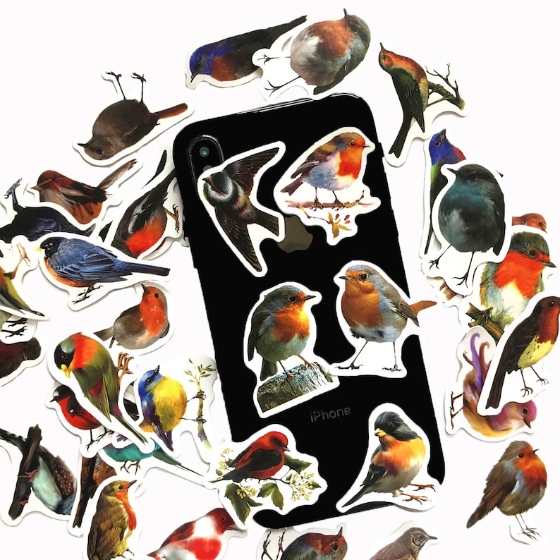 May include: A collection of colorful bird stickers featuring various species, including robins, bluebirds, and sparrows. The stickers are arranged around a black iPhone with the word "iPhone" printed on the back.