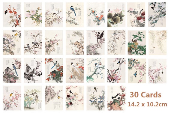 30枚の中国の鳥の絵、古典的な詩のブラシ画、ポストカード、東洋の鳥の
