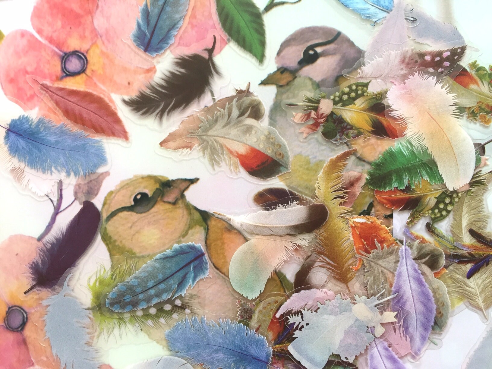 58 Bird Feather Stickers Cute Feather 2D Indian Feather Colorful Rare ...