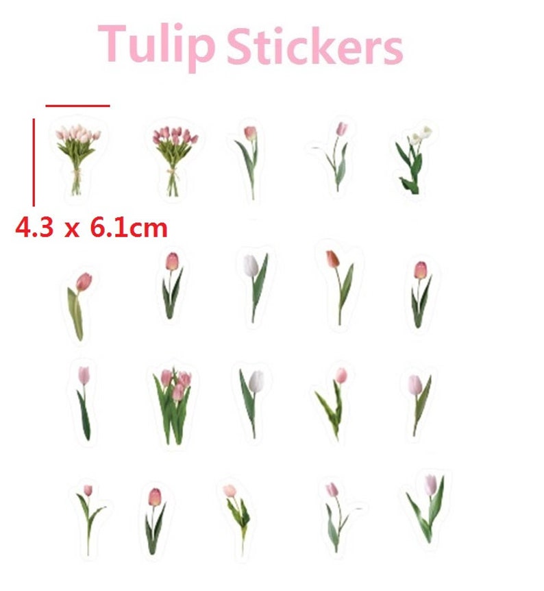 Tulip Flower Stickers Pink Tulip White Tulip Mini Tulip Arrangement ...