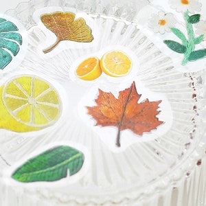 2D emboridery frucht blume Sticker tropisch fruchtiges muster Aufnäher Sticker für Planer, Scrapbook, Scrapbook